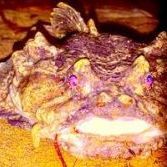 TangerinelandbasedmachinE