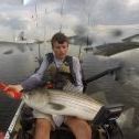 KayakBluefish