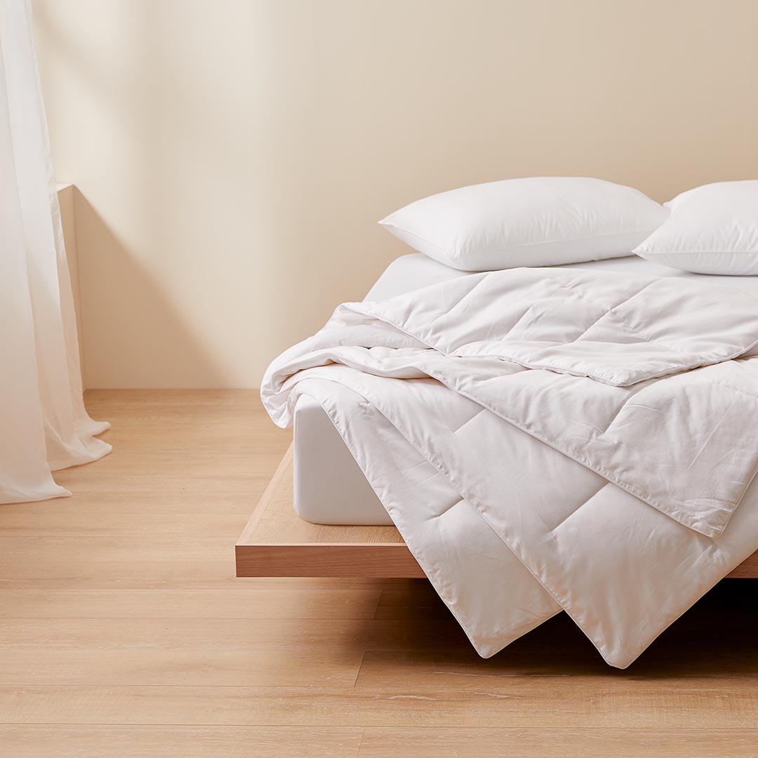 Buy Cotton Quilt Online Bed Bath N' Table