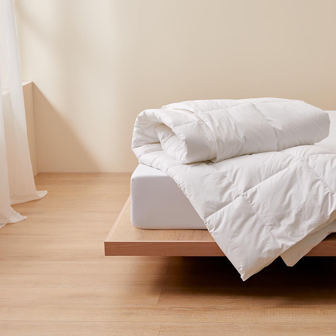 Buy Microfibre Quilt Online Bed Bath N' Table