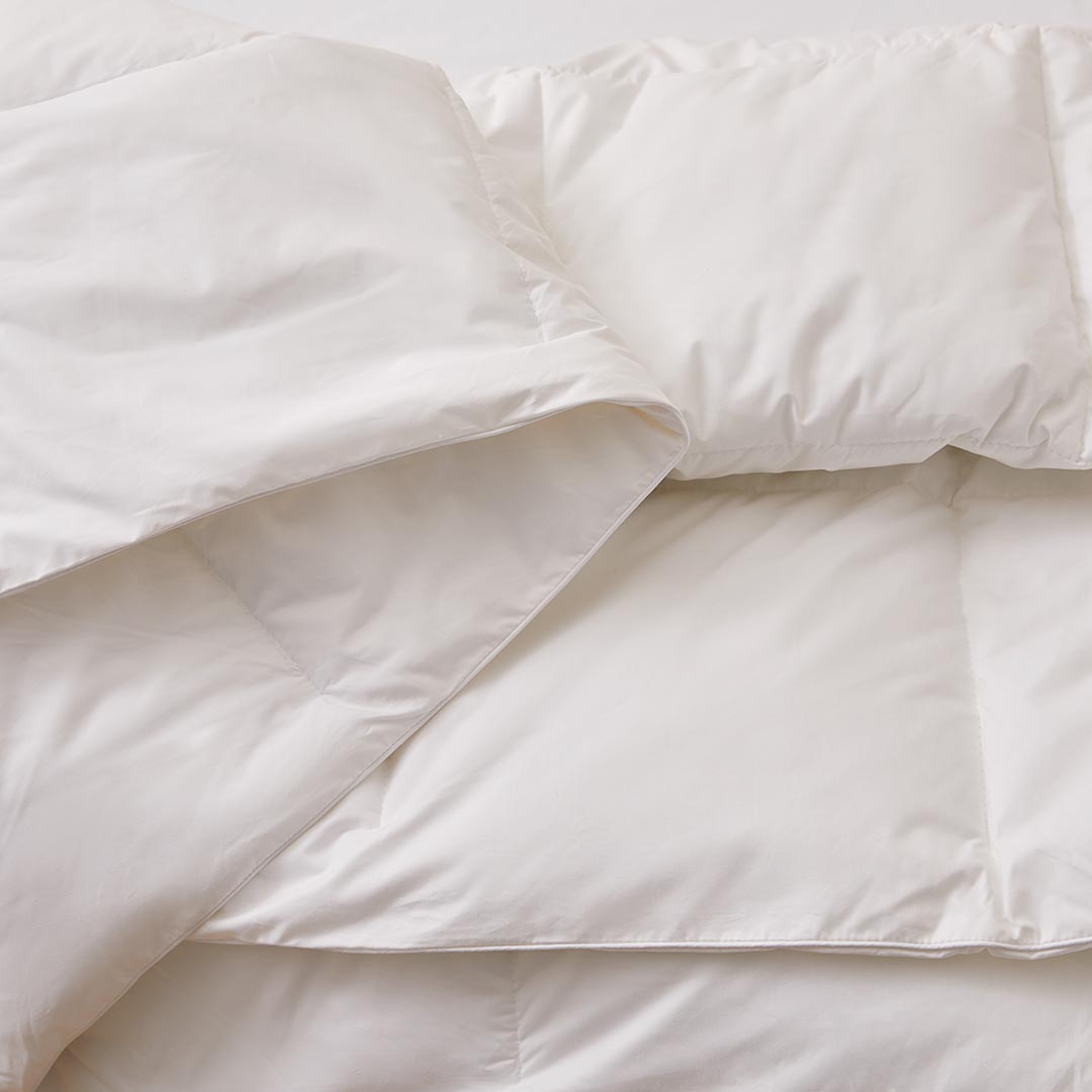 Buy Microfibre Quilt Online Bed Bath N' Table