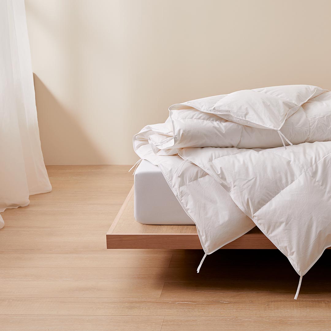 Buy Platinum Duck Local Feather Quilts Online Bed Bath N' Table