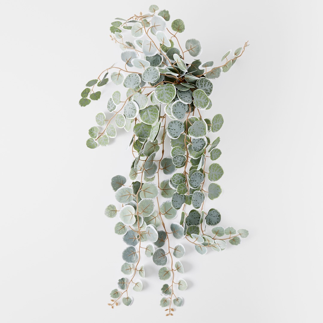 Buy Trailing Eucalyptus In Plastic Pot Silver/Green Online Bed Bath