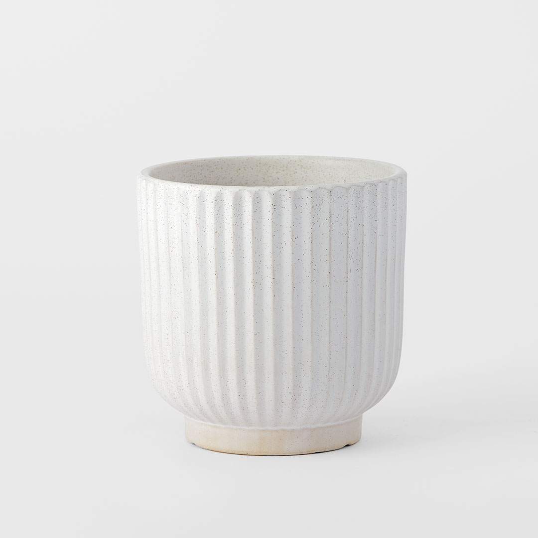 Shop Ribbed Ceramic Pot Medium Online | Bed Bath N' Table