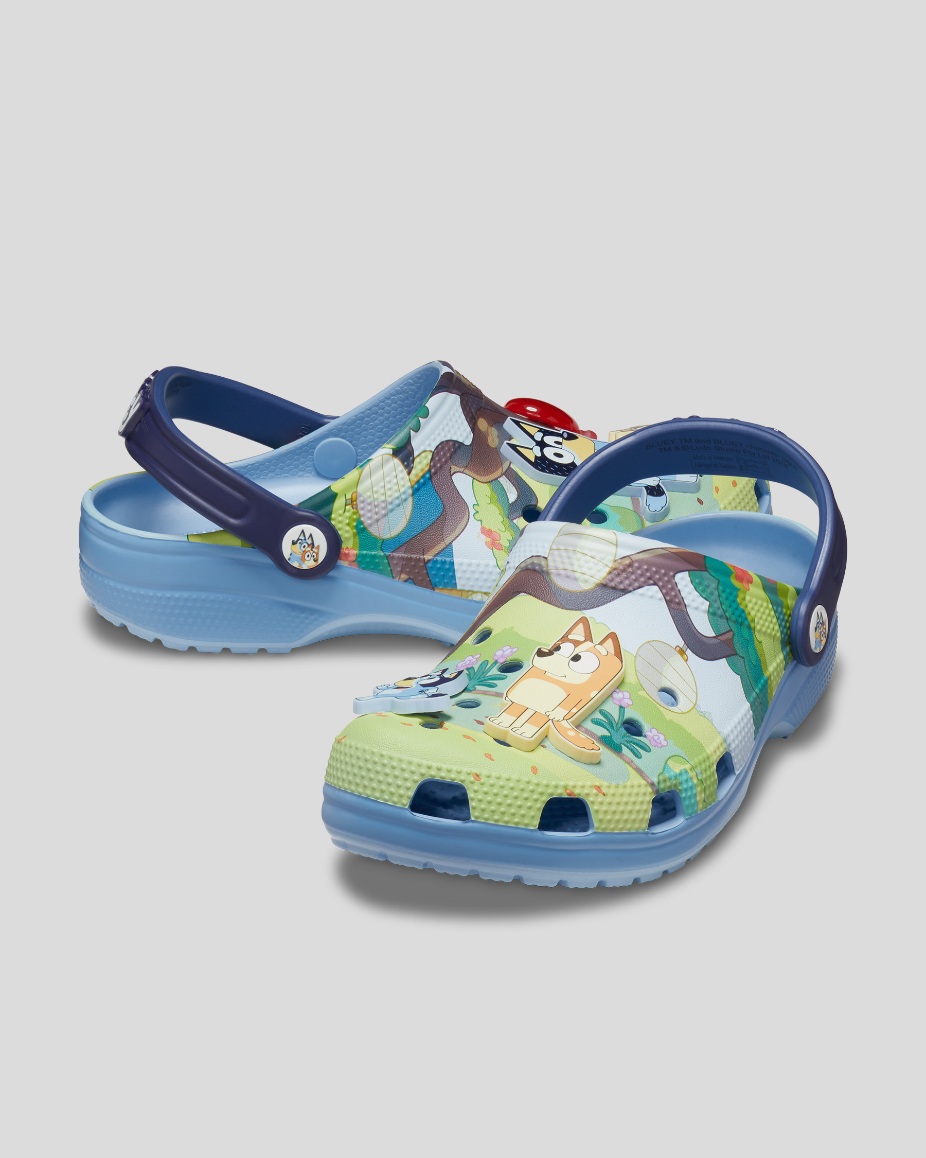 Bluey Classic Clogs