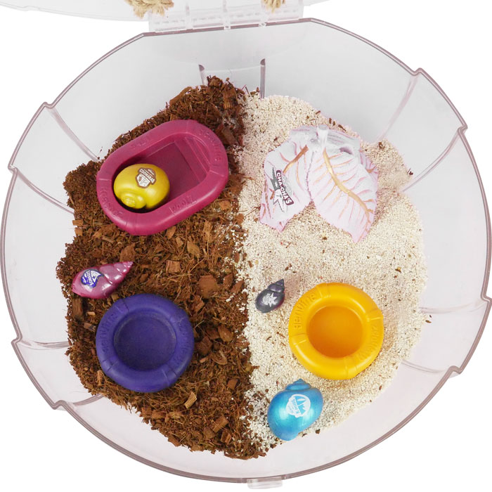 Hermit Crab Food and Water Bowl