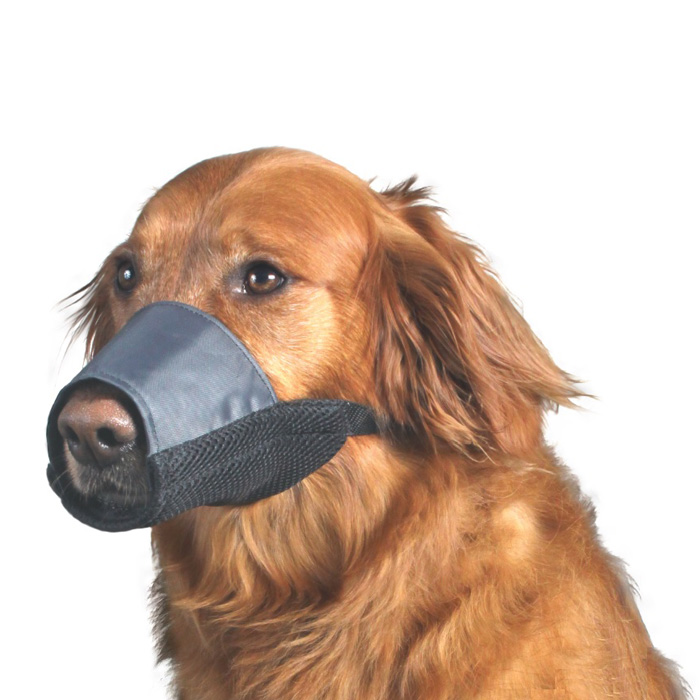 muzzle for puppy chewing