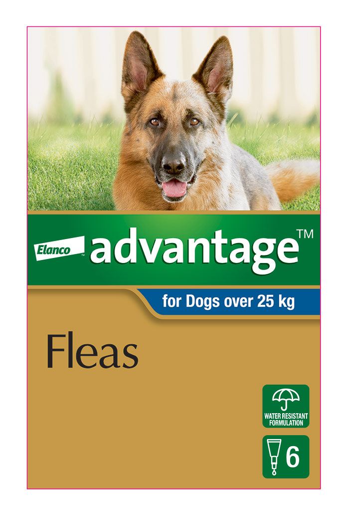Flea Treatment for Large Dogs