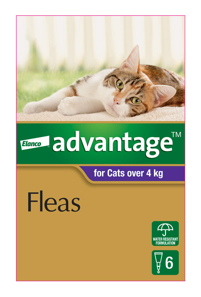 Flea Treatment for Large Cats 6-Pack