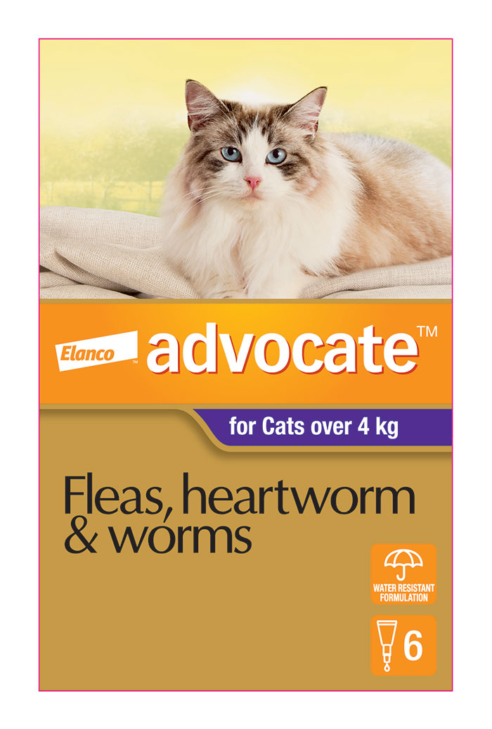 Flea and Heartworm Treatment for Large Cats