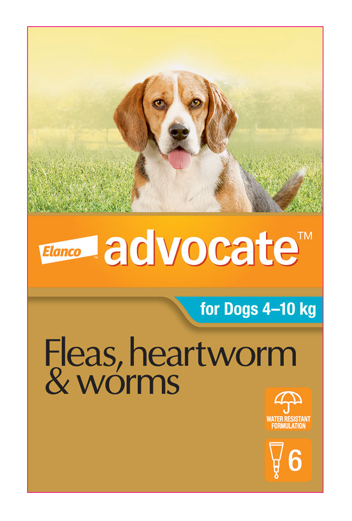 Monthly Spot-On Treatment for Medium Dogs