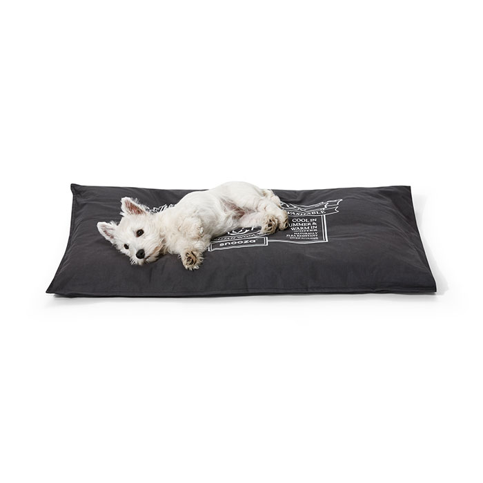 dog futon