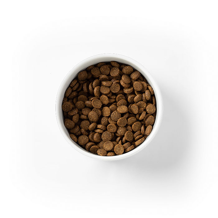 Chicken and Ancient Grains Dog Food