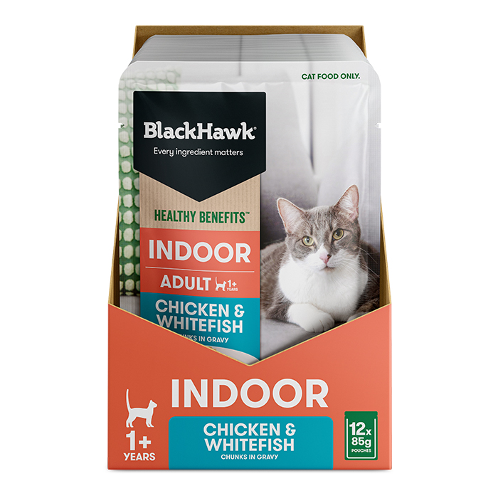 petco science diet cat food