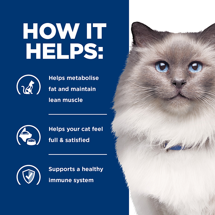 Weight Management Dry Cat Food