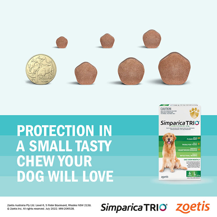Triple Action Chew for Dogs 10.1-20kg