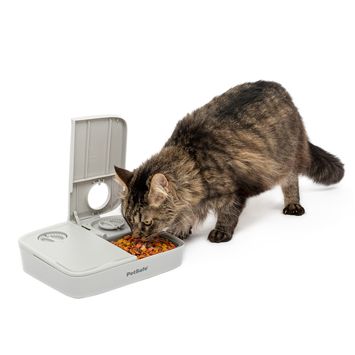 petbarn automatic feeder