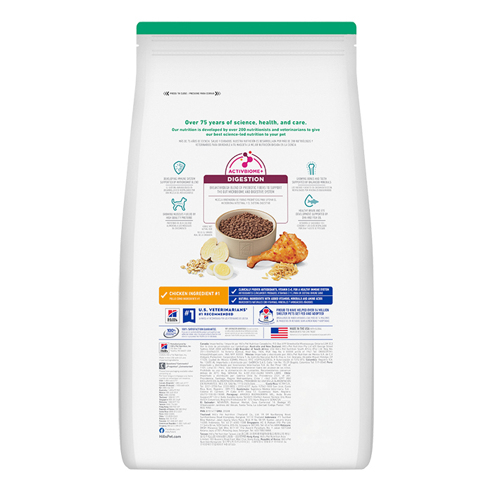 Indoor Kitten Nutrition Food