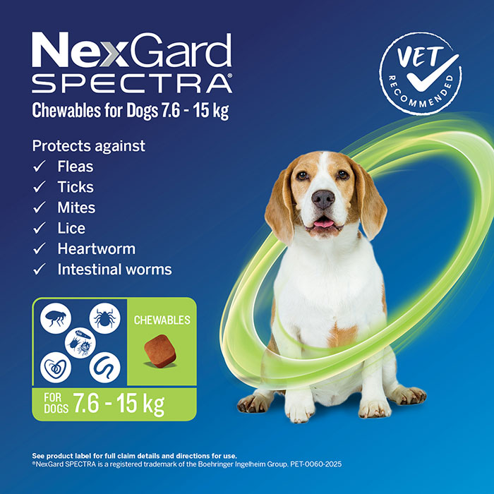 Flea, Tick & Worm Chewables for Medium Dogs
