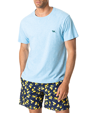 Image of The Gunn T-Shirt /Aquamarine XS