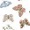 1u butterflies
