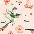 1n pinkhummingbirds