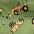 4s greendiggers