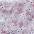 4s_rosefloral