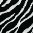wr_blackzebra