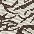 wr_brownzebra