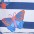 p4_butterflies