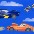 mnt_speedracer