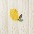 nb_lemonprint
