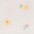 1c lemondaisy