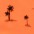 nn orangepalms