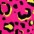 nn pinkleopard