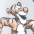 tigger