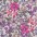 1c blushgarden