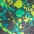 mnt splat