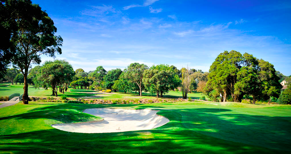 Box Hill Golf Club Future Golf
