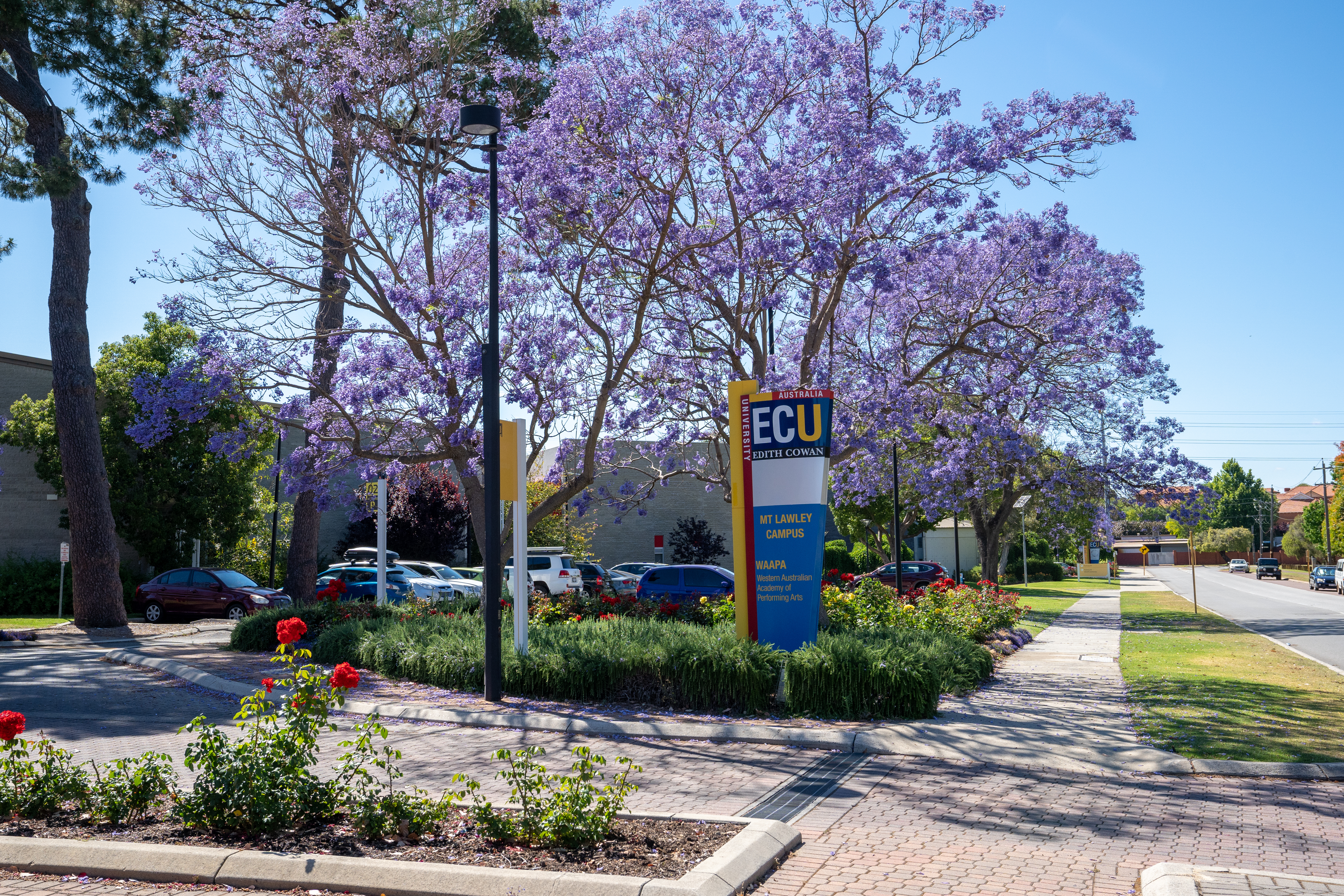 Mount Lawley