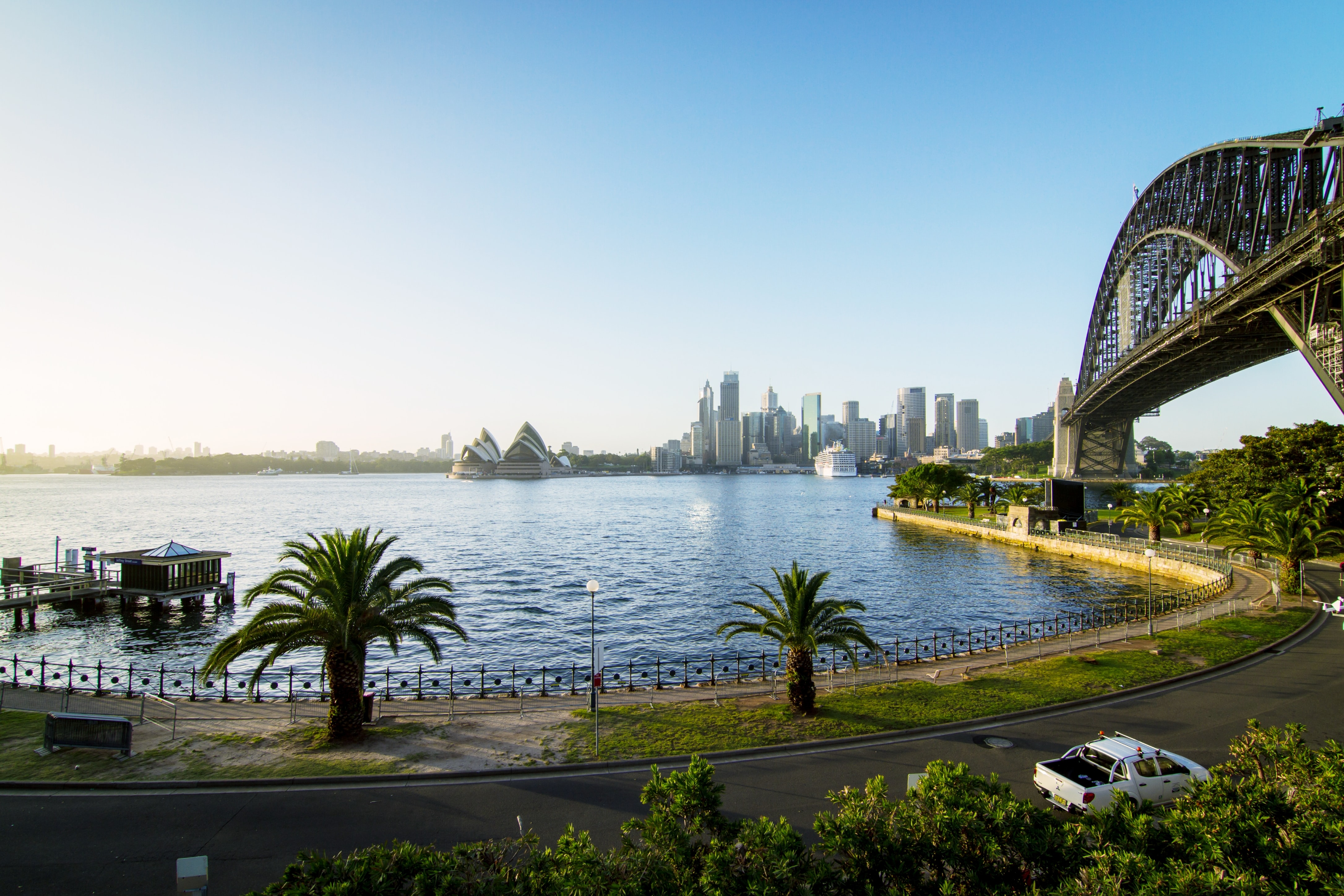 sydney harbour bridge with city skyline in the background, and palm trees in the foreground