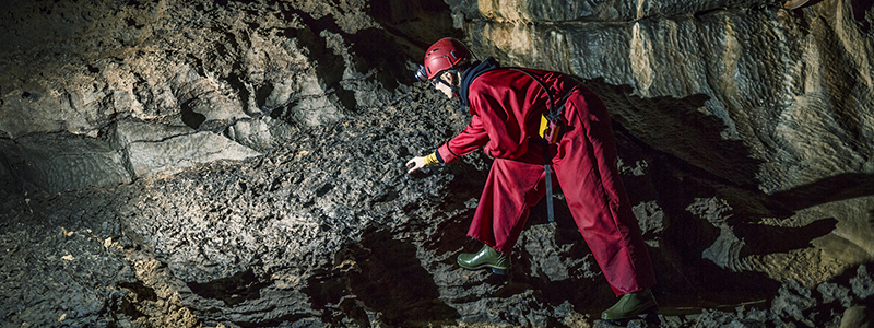 Geologist