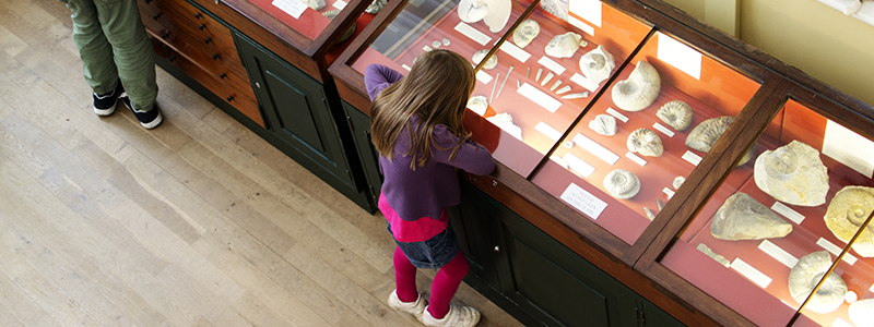 Museum Officer