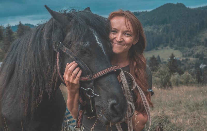 Volunteering as a gateway into the animal welfare industry