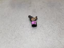 View Auto part Abs Sensor Volkswagen Amarok 2018