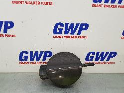 View Auto part Fuel Door / Filler Volkswagen Passat 2009