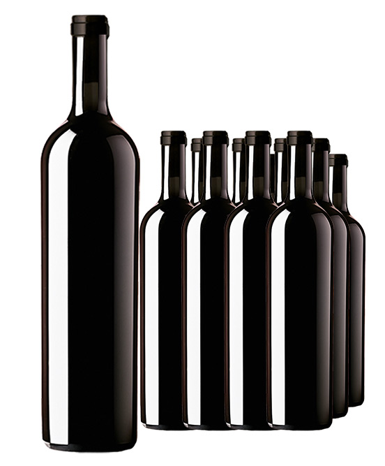 Icon Six Time Gold Medal Winning McLaren Vale Shiraz 2012 Cleanskin Dozen