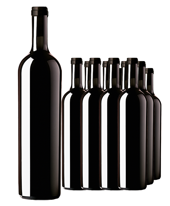 Icon Six Time Gold Medal Winning McLaren Vale Shiraz 2012 Cleanskin Dozen