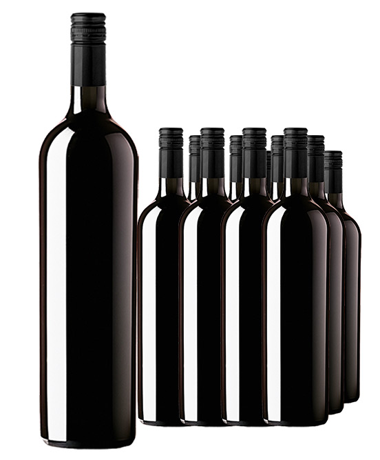 Icon Six Time Gold Medal Winning McLaren Vale Shiraz 2013 Cleanskin Dozen